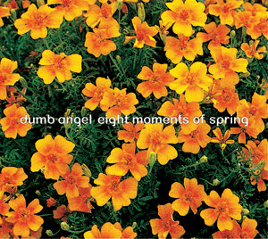 Dumb  Angel - Eight Moments of Spring