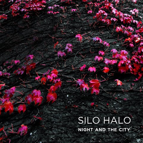 Silo Halo - Night and the City